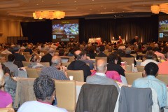 full-room-IMED